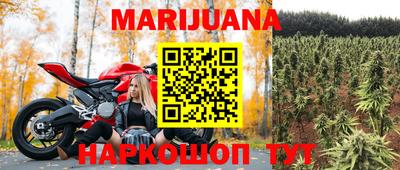 прущие грибы Моздок