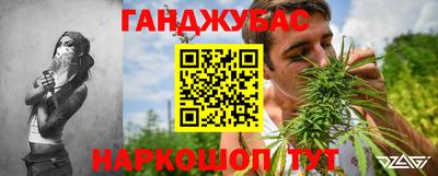прущие грибы Моздок